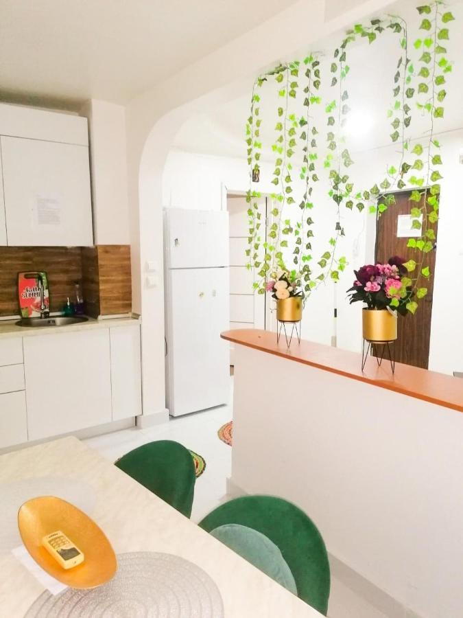 Apartament Near The Park Two Rooms Bukareszt Zewnętrze zdjęcie